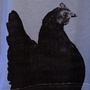 Produktbilde
