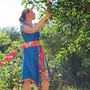 Produktbilde