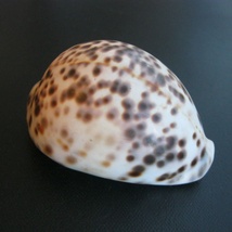 Produktbilde