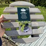 Produktbilde