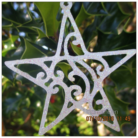 6 pk stjerner - Epla