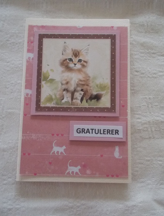 Produktbilde