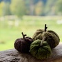Produktbilde