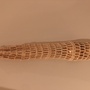 Produktbilde