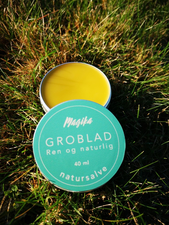 Groblad Salve 40 Ml Epla