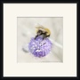 Produktbilde
