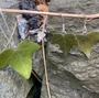 Produktbilde