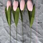 Produktbilde