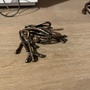 Produktbilde