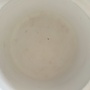 Produktbilde