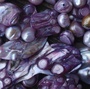 Produktbilde
