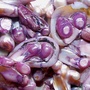 Produktbilde