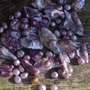 Produktbilde