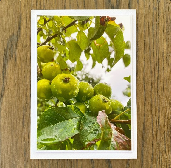 Produktbilde
