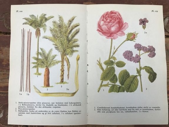 Produktbilde