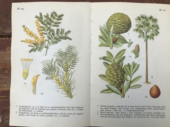 Produktbilde