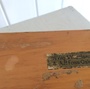 Produktbilde
