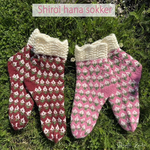 Produktbilde