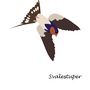 Produktbilde