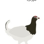 Produktbilde