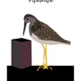 Produktbilde