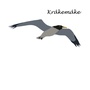 Produktbilde