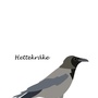 Produktbilde