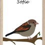 Produktbilde