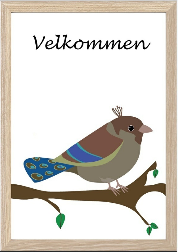 Produktbilde