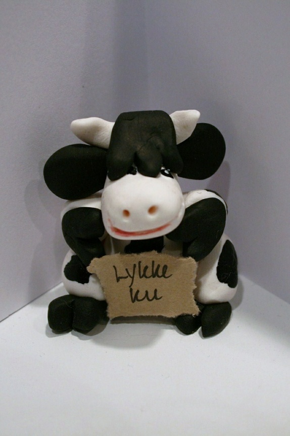 Produktbilde